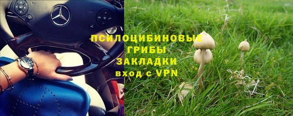 не бодяженный Армянск