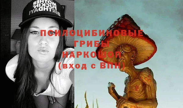 герыч Арсеньев