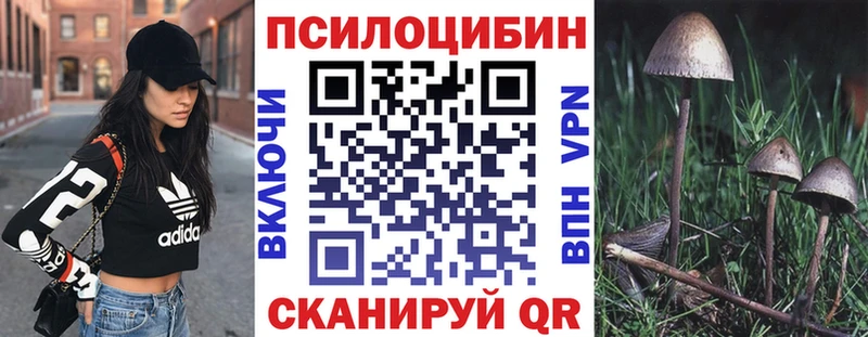 Галлюциногенные грибы Psilocybe Луза